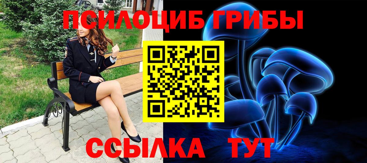 Кинешма  Псилоцибиновые грибы ЛСД  Галлюциногенные грибы мухоморы  Вход с VPN 